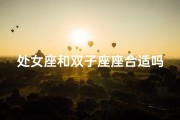 处女座和双子座座合适吗-处女座和双子座好不好