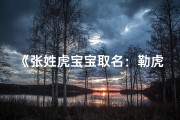 《张姓虎宝宝取名：勒虎添翼，威武雄风》