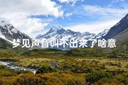 梦见声音叫不出来了啥意思—梦见大声喊却喊不出来