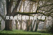 双鱼座会故意背叛你吗？揭秘星座心理真相