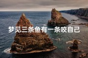 梦见三条鱼有一条咬自己手指,梦见鱼咬自己的手指头