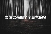 吴姓男孩四个字霸气的名字-吴家添丁喜洋洋，萌宝取名显英豪