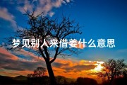 梦见别人来借姜什么意思—梦见别人来借盐好不好