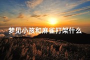 梦见小孩和麻雀打架什么预兆(梦见小孩和小孩打架是什么意思)