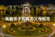 属狗孩子和属龙父母相克吗;属狗萌娃与属龙爸妈的欢乐时光