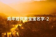 鸡年姓何男宝宝名字-2020年何姓男宝宝名字大全