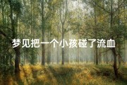 梦见把一个小孩碰了流血了-梦见把小孩弄伤出血