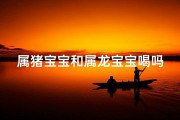 属猪宝宝和属龙宝宝喝吗