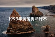 1999年属兔男命好不好,《99年兔年男性八字命理揭秘》